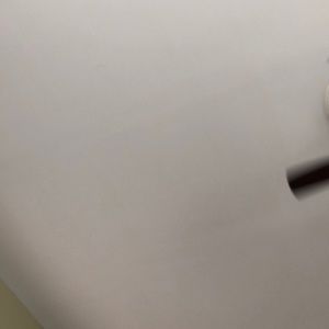 Meet your Posher, Brynn